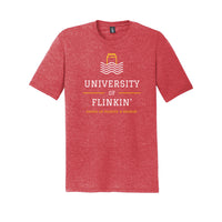 FLINKIN' University