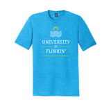 FLINKIN' University